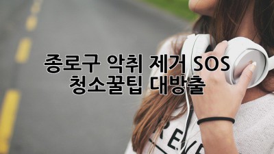 🤯 종로구 악취 제거 SOS! ✨ 청소꿀팁 대방출